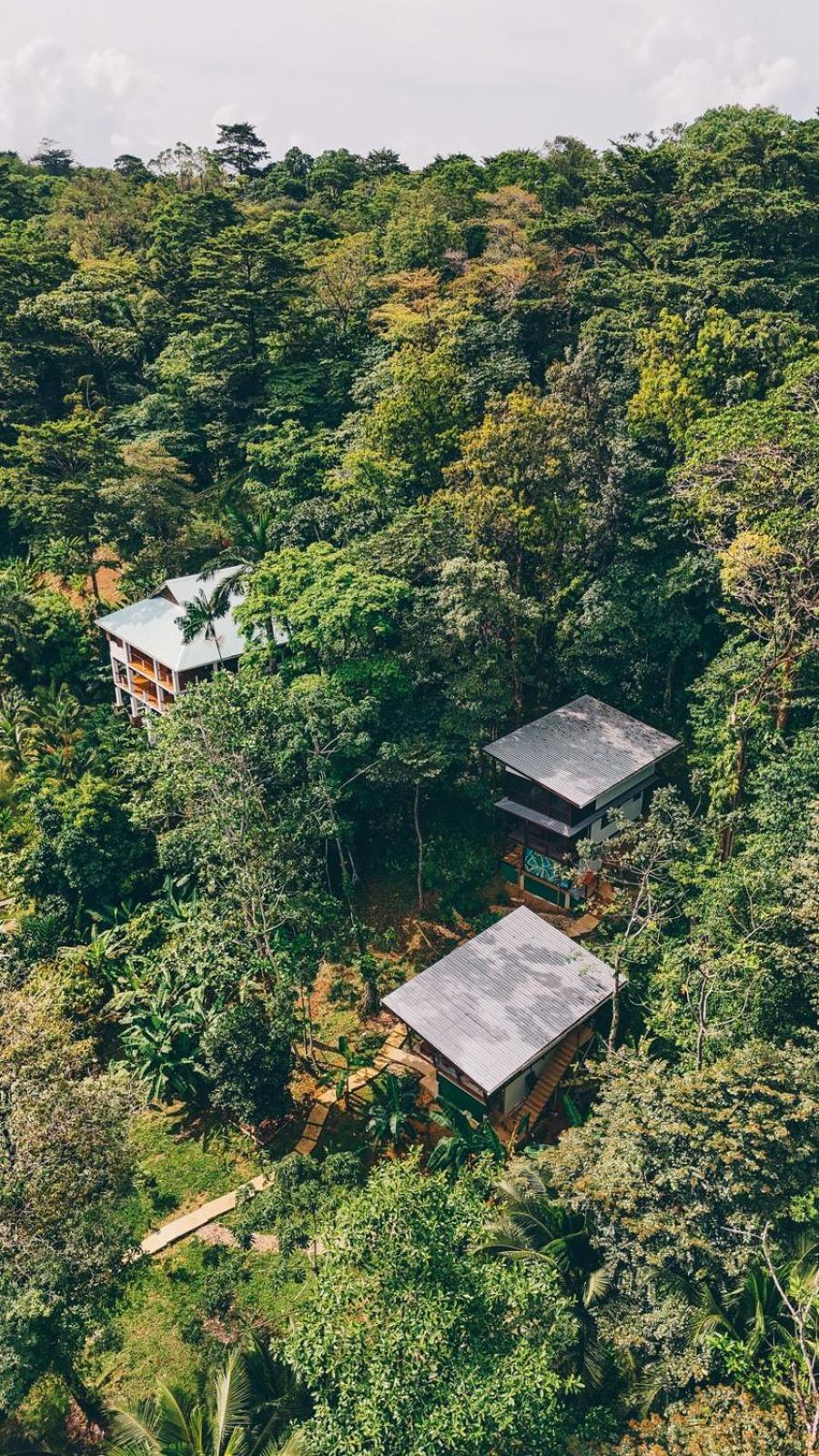 Roam Yoga & Wellness Lodge Bocas del Toro Eksteriør bilde